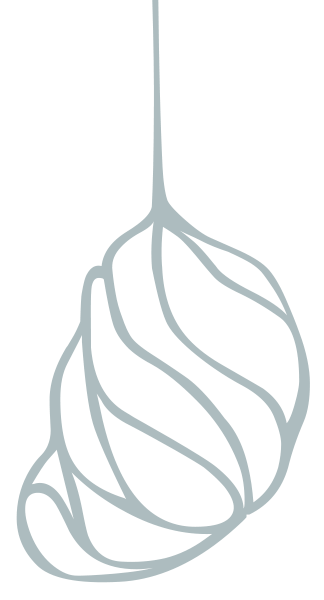 Image Title My Image